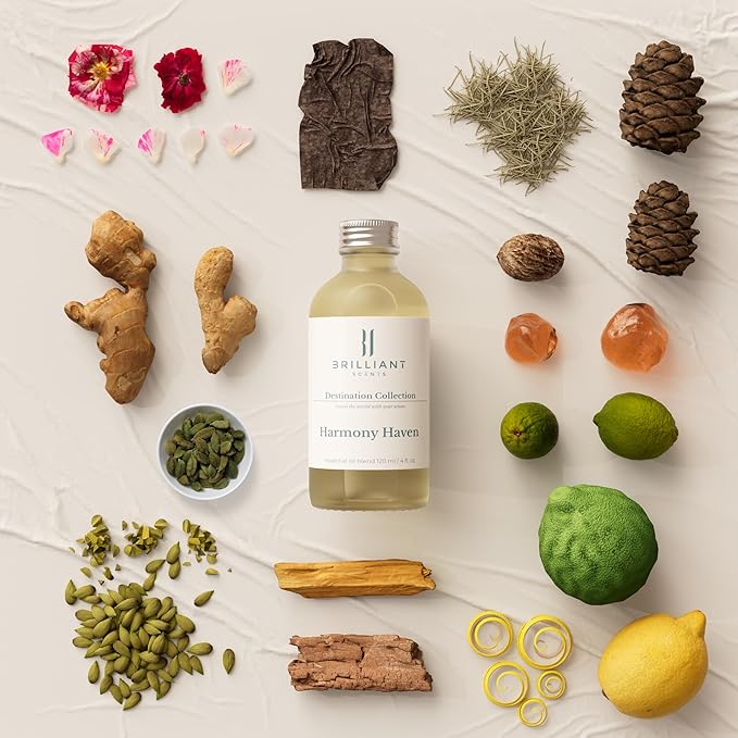 Brilliant Scents Harmony Haven Fragrance Oil 120ml - Premium Diffuser Oil for Home, Office, Hotels - Long Lasting, Plant-Based, Meets IFRA Standards, USA-Made - Citrus & Subtle Spice Scent