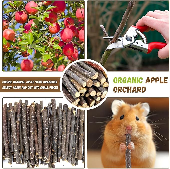 2lb(900g) Small Apple Sticks for Rabbits, Animals Molar Wood Treats Toys for Chinchillas Guinea Pig Hamster Gerbil Parrot Bunny and Small Animals Chew Stick Toys Treats