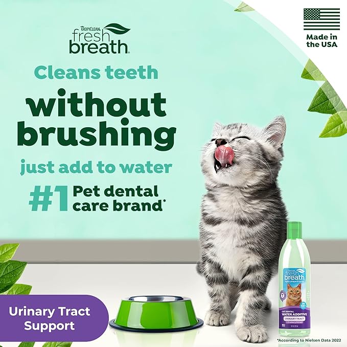 TropiClean Fresh Breath Cat Dental Water Additive + Urinary Tract Support, with Cranberry Extract, Teeth Cleaning & Breath Freshener Solution, 16oz