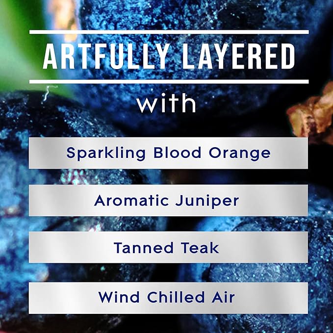 Glade PlugIns Refills Air Freshener, Juniper & Teak, Scented and Essential Oils for Home and Bathroom, 0.67 Fl Oz, 10 Count