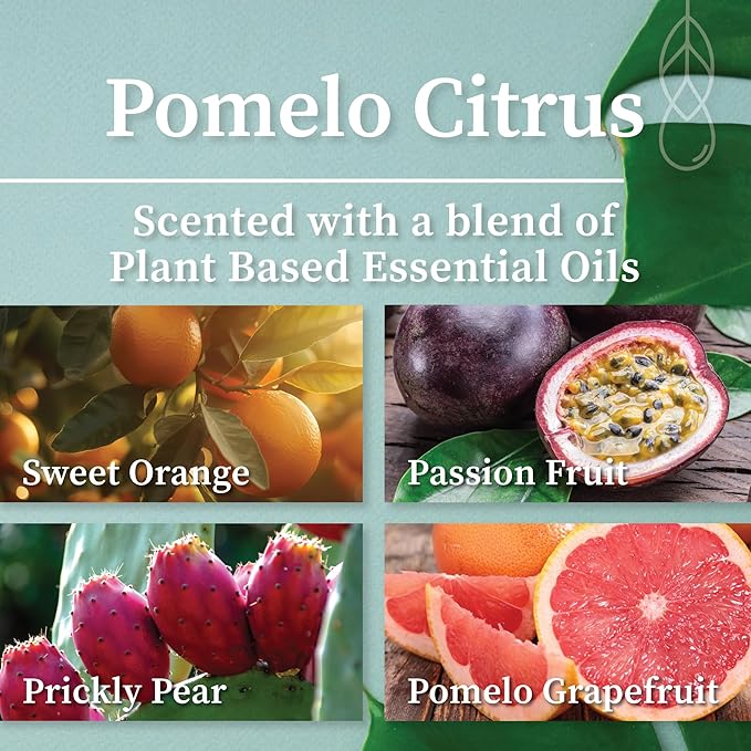 Hemlock Park Crackling Wood Wick Candle Handcrafted with Natural Coconut Wax (Large 16 oz, Pomelo Citrus)