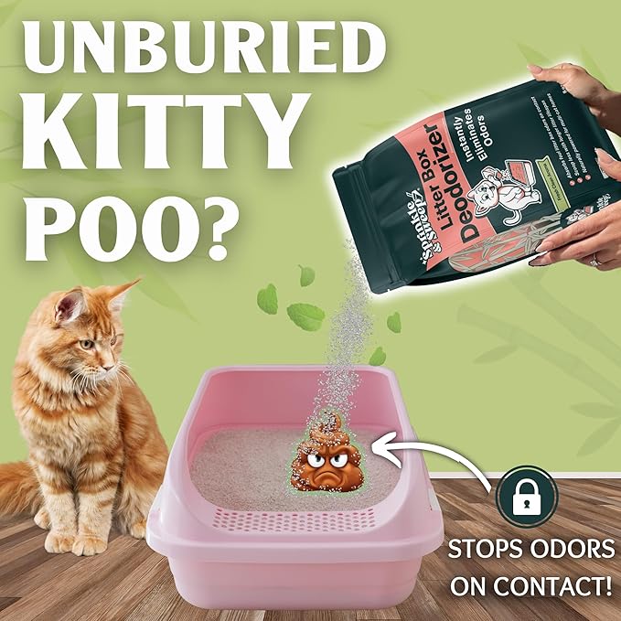 Sprinkle & Sweep Litter Box Deodorizer - Cat Litter Deodorizer Non Toxic and Safe for Kittens - Instantly Eliminates Foul Smells and Urine Odors (1 Bag + Speed Sifter)