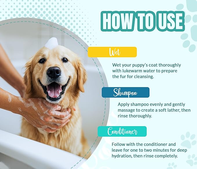 ALFIE'S CHOICE Calm & Comfort Dog Shampoo & Conditioner Set | 16 fl oz Each | Lavender & Rosemary with Vitamin E | Soothing, Moisturizing for Calming All Breeds