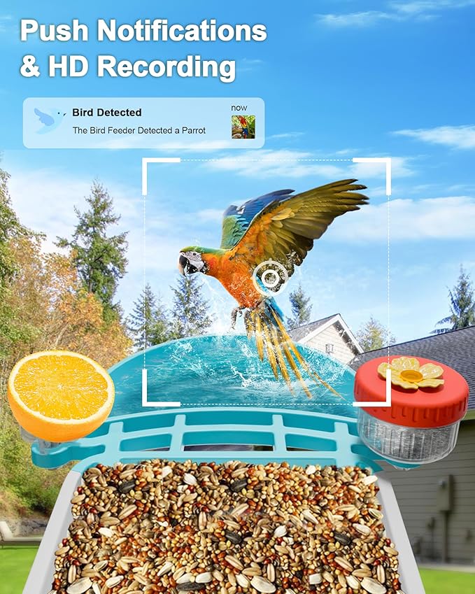 2-in-1 Smart Wild Bird Feeder & Bath with 4K HD Camera, AI Identification Solar Bird Feeder Watching Camera Night Vision for Outdoor Birds Watching Gifts for Birdlover, Blue