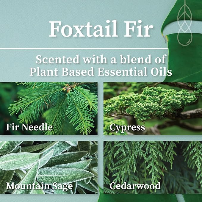 Hemlock Park Crackling Wood Wick Candle Handcrafted with Natural Coconut Wax (Large 16 oz, Foxtail Fir)