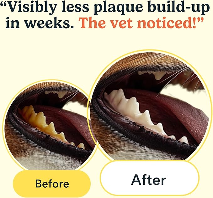 Jasper Dog Dental Wipes, Vet-Recommended All-Natural Finger Toothbrush Wipes for Dogs, Fresh Breath & Tartar Control in Seconds – No Brush and Toothpaste Needed, Unscented, 60 Count