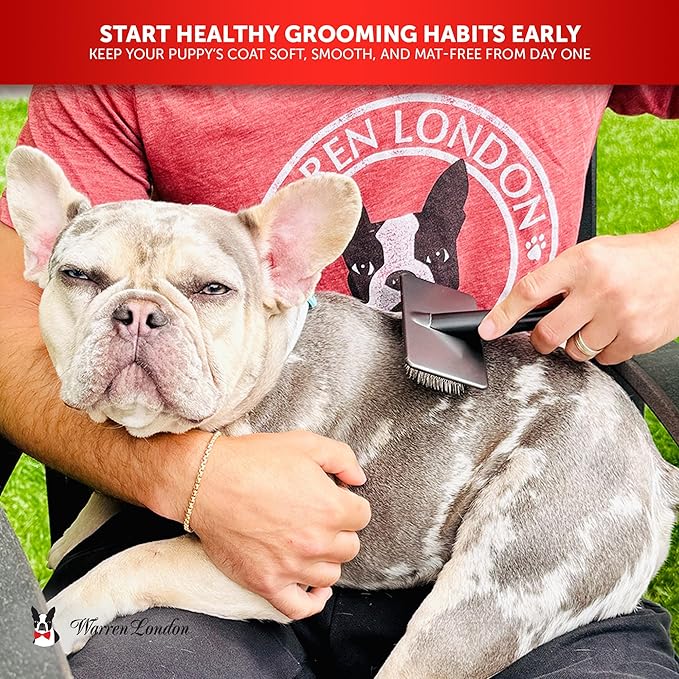 Warren London Gentle Touch Slicker Brush for Puppies & Small Dogs – 4" x 2" Soft Pin Grooming Brush – Tangle Remover for Sensitive Skin – Compact, Lightweight & Easy to Use