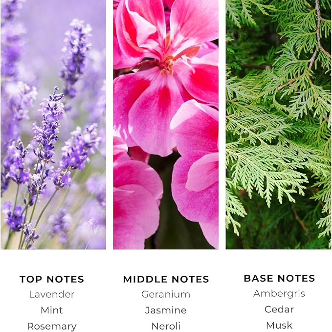 Brilliant Scents Cool Waters Fragrance Oil 200ml - Premium Diffuser Oil for Home, Office, Hotels - Long Lasting, Plant-Based, Meets IFRA Standards, USA-Made - Mint, Lavender, Tobacco