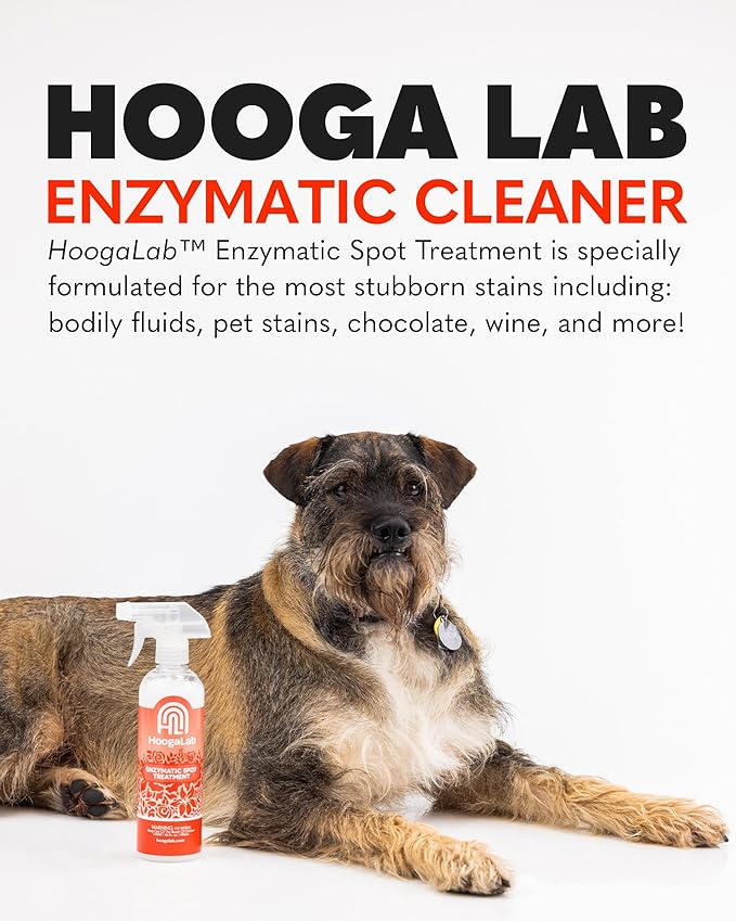 16oz Enzymatic Spot Treatment - Powerful Stain Remover for Tough Messes | Pet Cleaner, Elimate Organic Stains, Odors, and Residues From Carpet, Upholstery, and Fabrics! (2 pack)