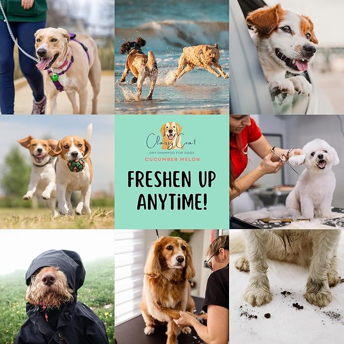 Dry Shampoo & Coat Deodorizer for Dogs (Cucumber Melon) | Waterless No-Rinse Squeeze Bottle Powder Formula | Calming Lavender Scent | Talc and Alcohol Free | Safe for Sensitive Skin | Made in USA
