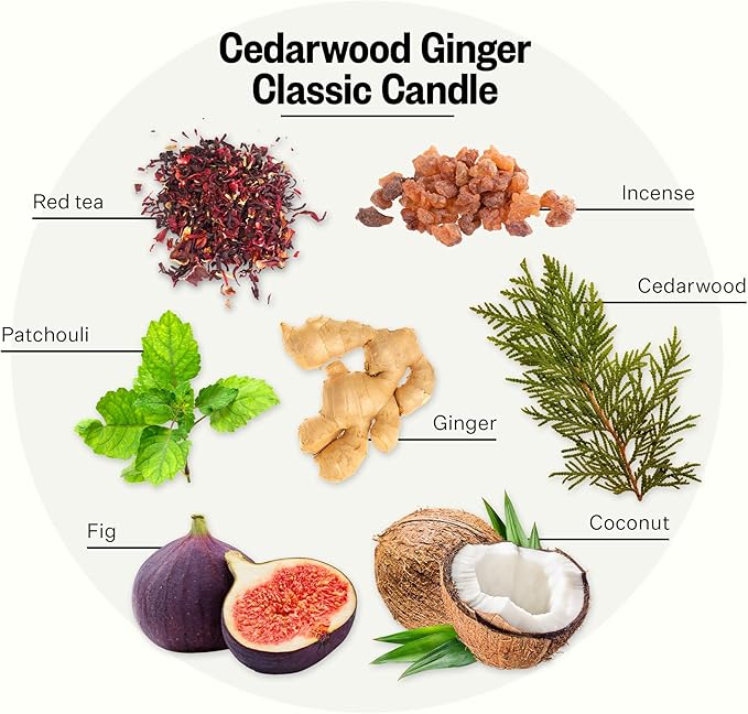 Apotheke Signature Scented Candles for Home, Cedarwood Ginger - 10.5 oz - Soy Wax, Non Toxic, Large Jar White - Luxury Candle Gifts for Women & Men - Patchouli, Red Tea, Fig, and Coconut