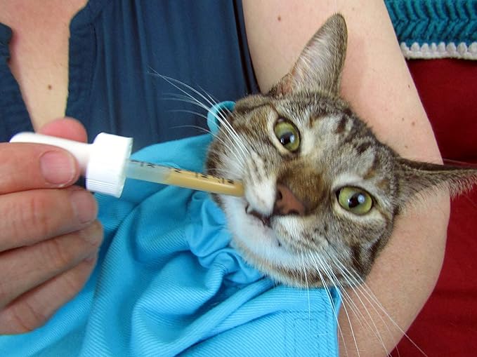 Cat-in-the-Bag Cozy Comfort Carrier - Large Green Pet Carrier and Cat Carrier Soft for Cutting Nails, Vet Visits, Medication Administration, Dental Care, & Travel