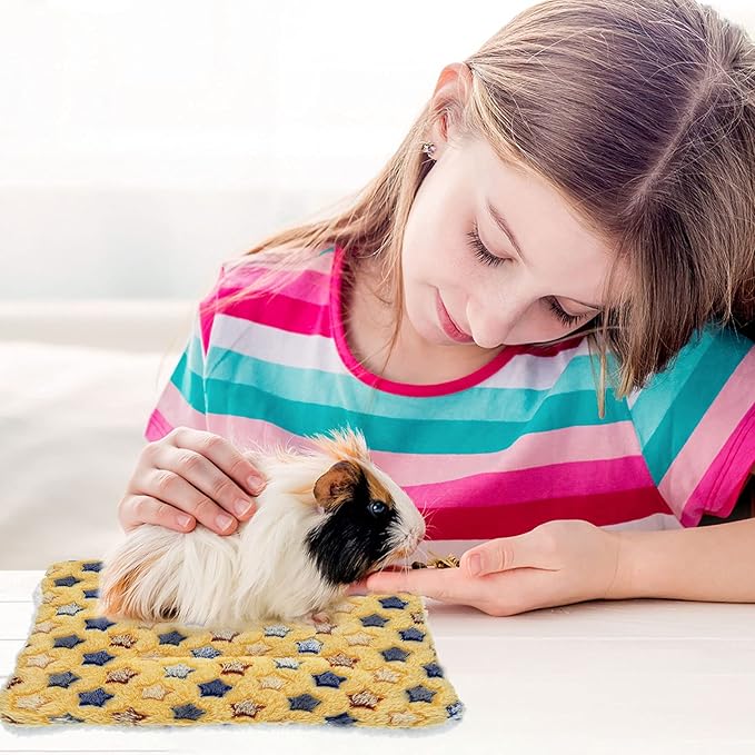 Jetec Plush 4 Piece Small Animal Bed Mats, 10 x 11 Inch, Rabbit, Hamster, Guinea Pig, Soft Plush Bedding