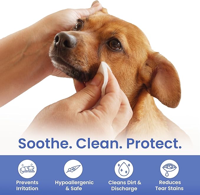 AKC Pet Eye Wipes for Dogs & Cats – Tear Stain Remover & Eye Discharge Cleaner – Hypoallergenic Grooming Wipes, 100 Count (Lavender Scent)