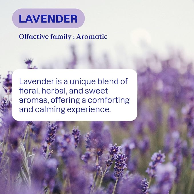 ATTITUDE Liquid Laundry Detergent, EWG Verified, HE Compatible, Plant-Based & Vegan, Natural Laundry Soap, Lavender Scent, 40 Loads, 67.6 Fl Oz