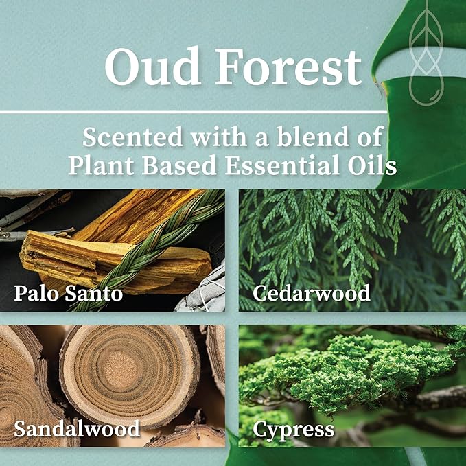 Hemlock Park Crackling Wood Wick Candle Handcrafted with Natural Coconut Wax (Large 16 oz, Oud Forest)