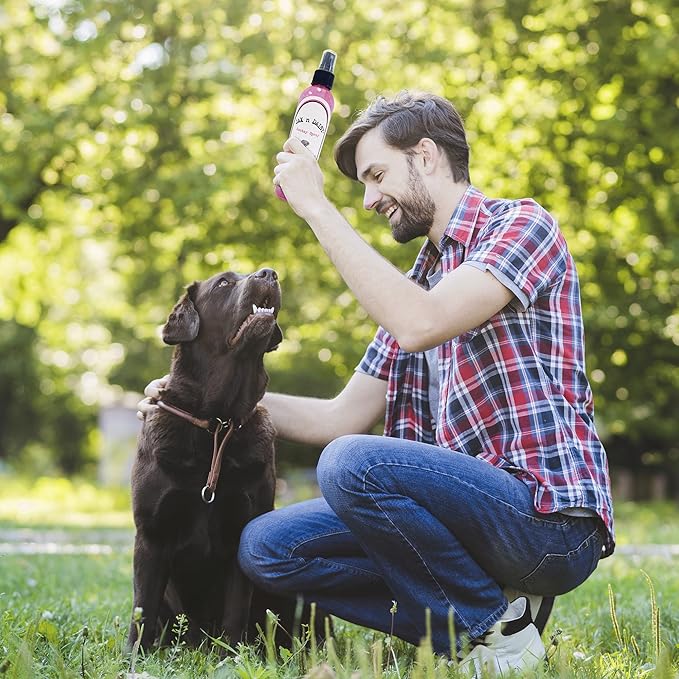 Jax N Daisy Dog Bootay Spray pet Perfume Spray for Dog s Bottom Hygiene Odor Control Refreshing Deodorizing for Smelly Dogs Long Lasting All Natural Ideal for All Breeds