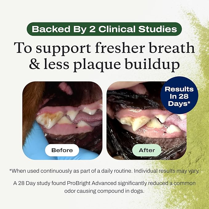 PetLab Co. ProBright Advanced Dental Powder - Dog Breath Freshener - Teeth Cleaning Made Easy – Targets Tartar & Bad Breath - Packaging May Vary - Formulated for Small Dogs