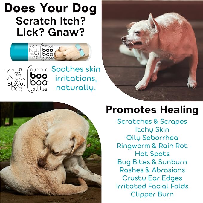 The Blissful Dog .15 oz Tube Newfoundland Booboo Butter