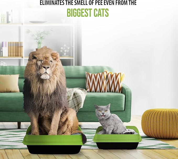 Skoon All Natural Cat Litter (2 Bags) - Original - Lightweight, Low Tracking, Non-Clumping Diatom Pebbles Absorb, Lock, and Seal Waste for Best Odor Control