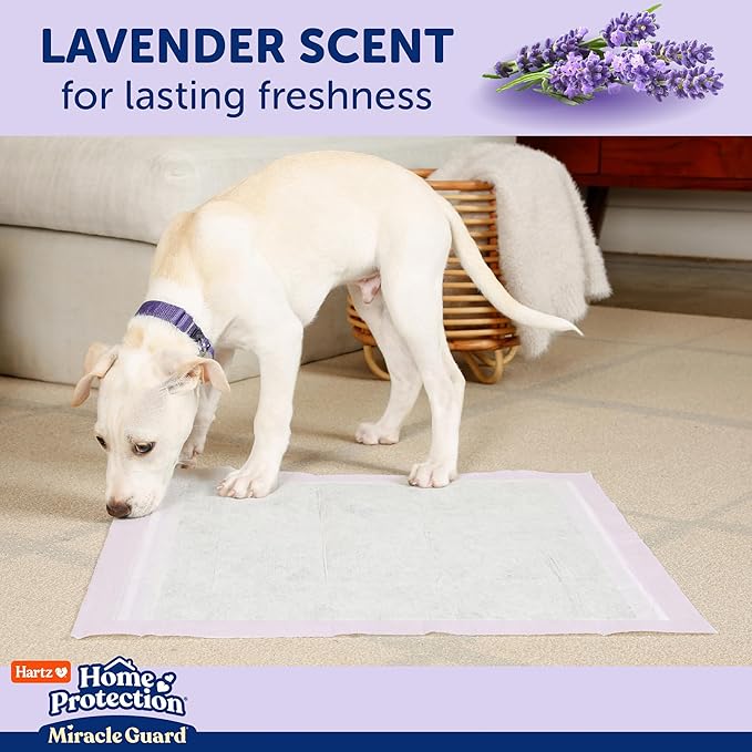Hartz Home Protection Miracle Guard Lavender Scented Dog Pads, XL Size 30 Count, 24 Hour Use, Won't Leak and Odor Eliminating