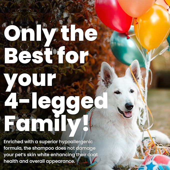 Best Shot Scentament Spa Caressing Body Wash, Cucumber Melon, 16 oz