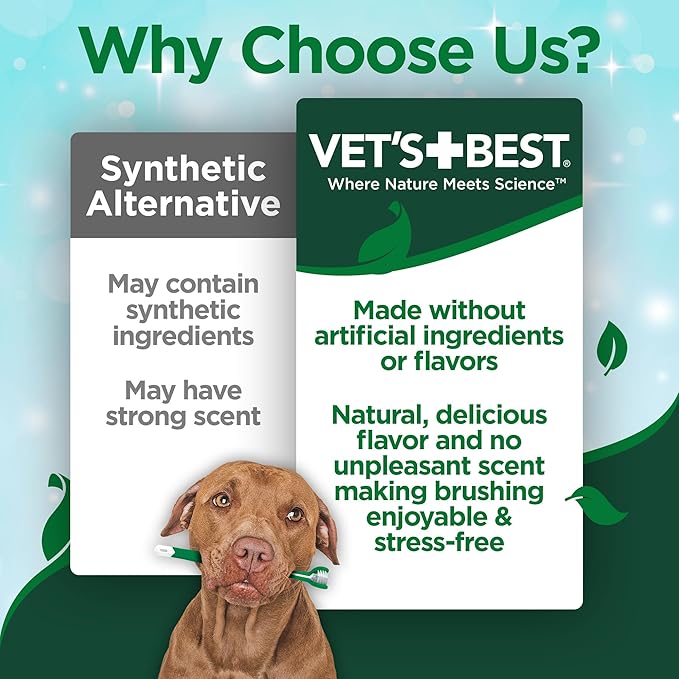 Vet’s Best Enzymatic Dog Toothpaste – Vet Formulated Dental Gel for Teeth Cleaning, Fresh Breath, Tartar Control, Plaque Remover & Oral Hygiene for Dogs, 3.5 oz