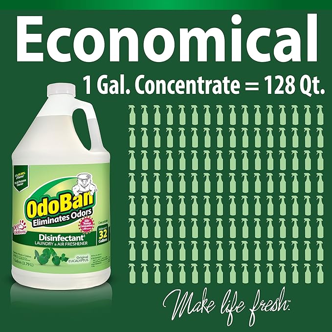 OdoBan Disinfectant Concentrate and Odor Eliminator, Made in the USA, Original Eucalyptus Scent, 2 Gallons