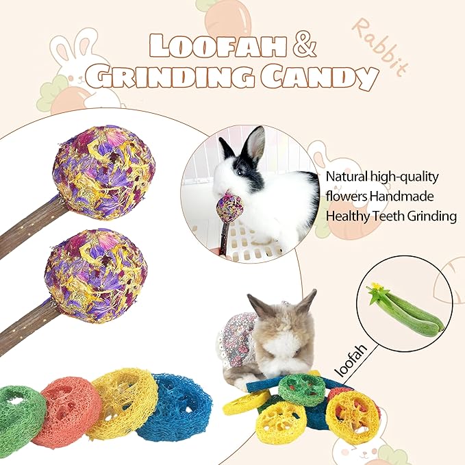 20PCS Bunny Chew Toys for Rabbits Teeth & a Rabbit Hay Feeder Bag, Natural Rabbit Toys & Guinea Pig Boredom Enrichment, Suitable for Bunny Hamster Guinea Pig Ferret Kitten