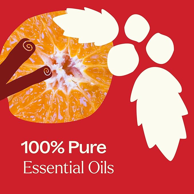 Plant Therapy Nutcracker Holiday Essential Oil Blend 10 mL (1/3 oz) Warm, Woody, and Festive Aroma, Relaxing & Uplifting, Perfect for Cozy Holiday Moments