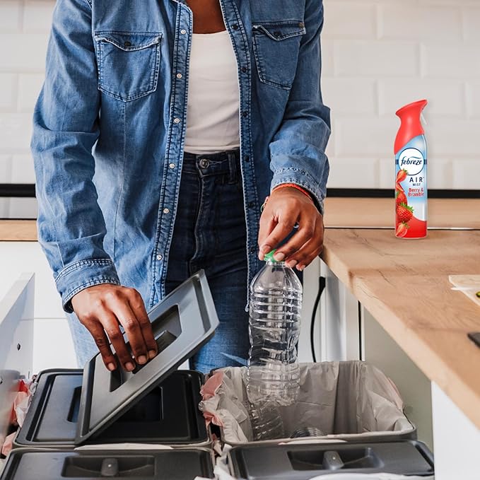 Febreze Air Mist Air Freshener Spray, Odor-Fighting Room Spray, Air Fresheners for Home and Bathroom and Kitchen, Aerosol Can, Berry & Bramble Scent, 8.8oz, 1 Count