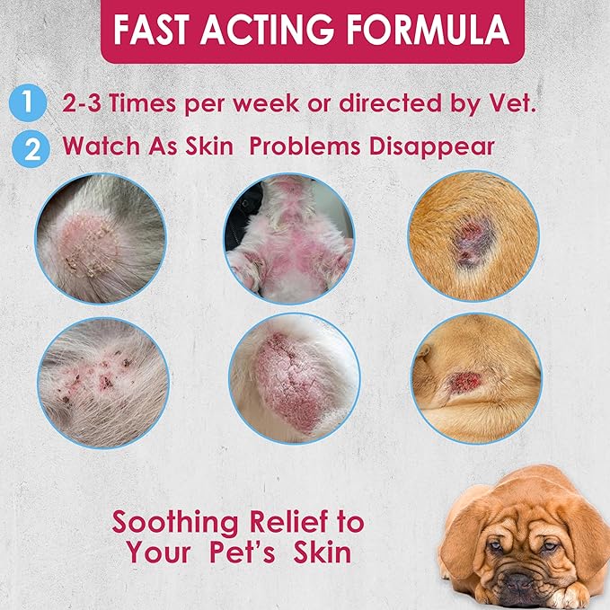 Truseb All Natural Topical Ketoconazole and Chlorhexidine Shampoo for Dogs, Cats & Horses with Aloe Vera Shampoo and Conditioner(Ketoconazole & Chlorhexidine Shampoo, 1 Gallon)