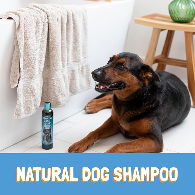 Bio-Groom Ultra-Black Dog Shampoo - Color Enhancing Pet Shampoo, Dog Bathing Supplies, Puppy Wash, Grooming Supplies, Cruelty-Free, Made in USA, Coat Brightener - 1 Gallon