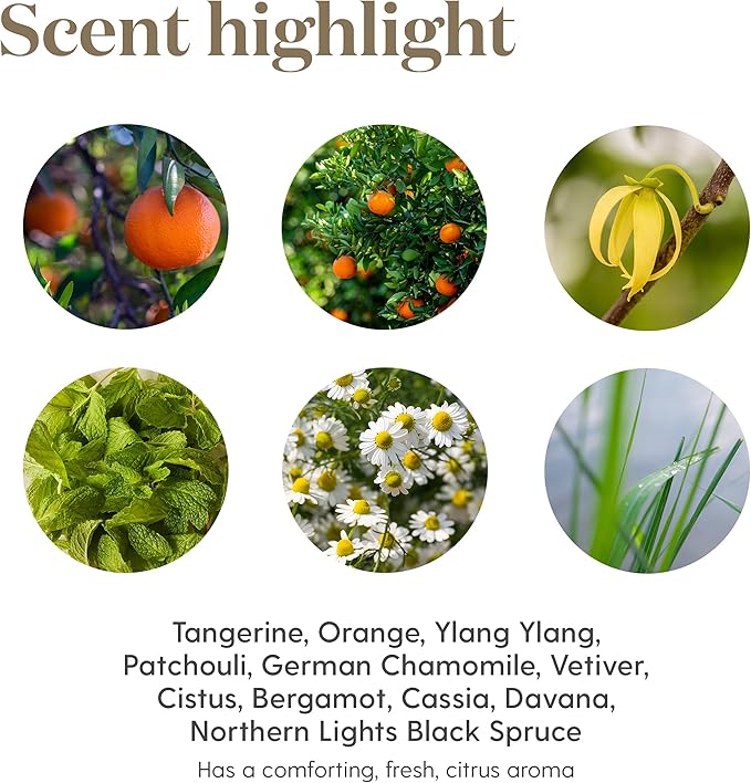 Peace & Calming II 5 ml Essential Oil by Young Living Essential Oils