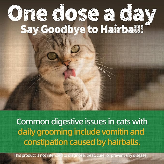 Just Try 13.4 OZ Cat Treats for Indoor Cats Hairball Control Natural Salmon Healthy Cat Grass Treats Kitten Snacks Training Biscuits Catnip for Cats Dental Care