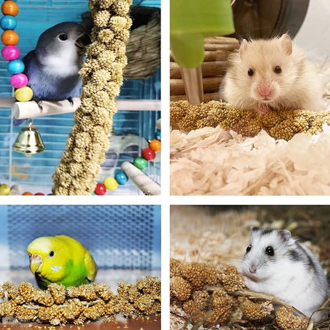 Jmxu's Spray Millet Treat for Birds Parakeets, Natural Sun-Dried Birds Millet for Cockatiel, Budgie, Finches, Parrots, Hamster (2 Pounds)