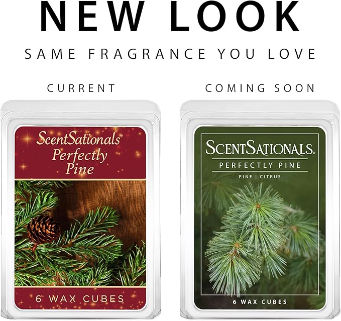 Scentsationals Wax Melts - Perfectly Pine Scented Fragrance - Wax Cubes Pack, Air Freshener - 10oz (24-Cubes)