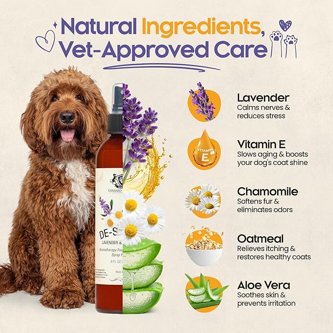 Dog Perfume Spray Long Lasting Chamomile & Lavender 8 Fl Oz, Dog Cologne Spray Long Lasting for Groomers, Calming Deodorizer Perfume for Dogs, Pet Puppy Deodorizing Fragrance by Gerrard Larriett