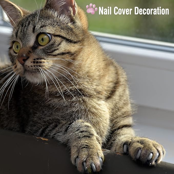 9 Pcs Cat Bathing Bag Set Cat Shower Bag Anti Bite and Scratch for Pet Grooming Washing Brush Comb Muzzle Nail Clipper Nail File Tick Tool(Blue, Gray)