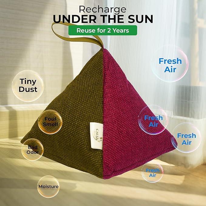 4 Pack Bamboo Charcoal Air Purifier Bags 200 Grams Each - Odor Absorber & Eliminator for Home, Car, Pets, Activated Charcoal Natural Freshener, Eco-Friendly & Reusable (Fall Colors)