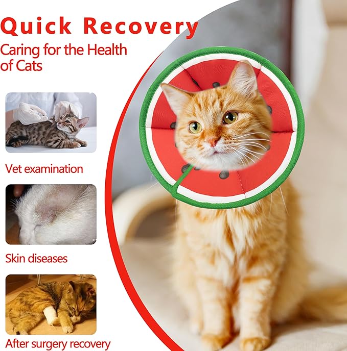 Soft Adjustable Cat Cone Collar - Comfortable Recovery Collar for Cats After Surgery (Watermelon, Medium)