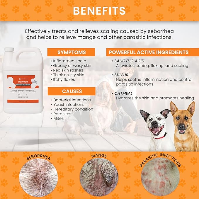 Healthy Paw Life Antiparasitic & Antiseborrheic Dog Shampoo - Sulfur, Salicylic Acid and Oatmeal - Dry, Itchy, Hot Spot, Dermatitis (1 Gal)