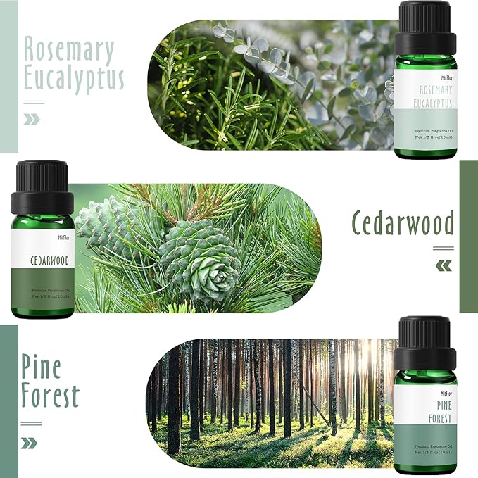 Fragrance Oil, MitFlor Woodland Set of Scented Essential Oils, 10ml x 6, Soap & Candle Making Scents, Essential Oils for Diffusers for Home, Pine Forest, Cedarwood, Oakmoss Amber & More