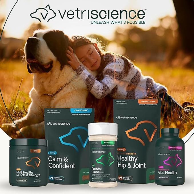 VetriScience Ultimate Strength Hip & Joint Supplement for Dogs, GlycoFlex Plus – MSM, Chondroitin & Green-Lipped Mussel Chews for Mobility, Flexibility, Comfort & Support, Chicken Flavor, 120 Cnt