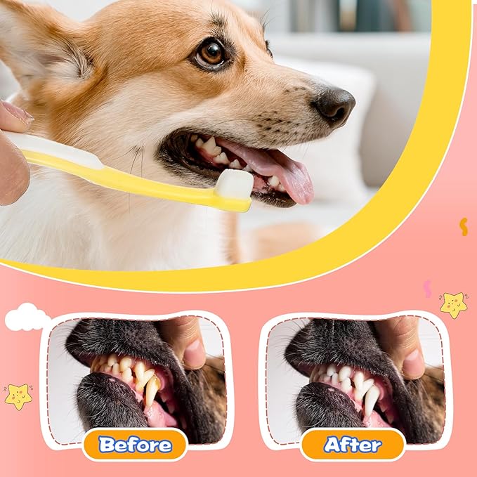 3 Pack Small Dog Toothbrush, Small Breed Cat Toothbrushes for Cat & Puppy, Utral Soft Bristles Deep Cleaning Mini Head Tooth Brush for Tiny Puppy Kitty