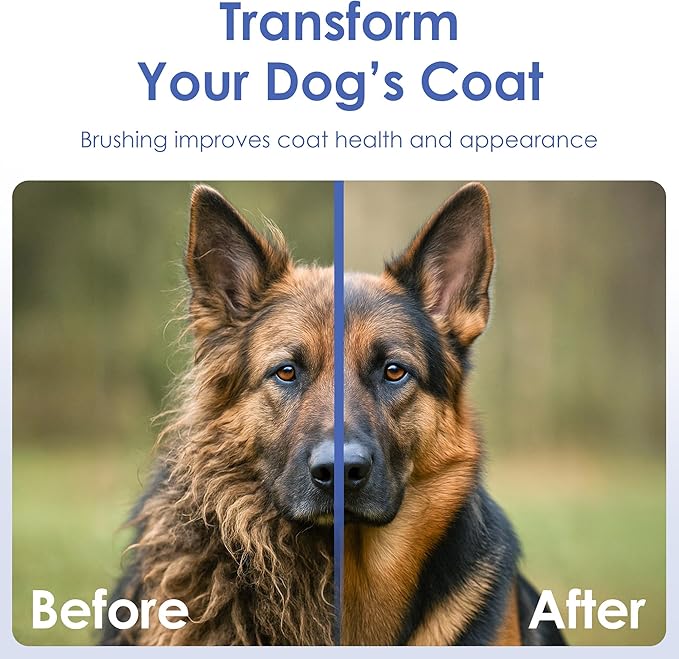 AKC - Double-Sided Grooming Brush for Dogs & Cats |Soft Bristles & Stainless Steel Pins for Removing Tangles, Shedding & Loose Fur |Gentle on Skin | Comfortable Grip Handle for Easy Brushing & Bathing