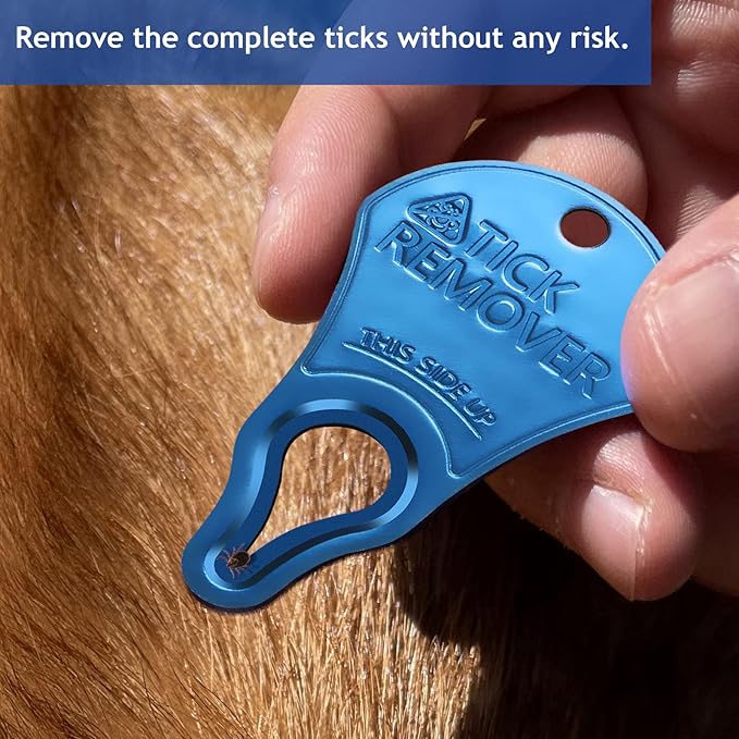 Tick Remover Tool Portable, Tick Removal for Pet and Humans, Safe and Reliable, Pain-Free, Essential Tools for Outdoor Activities- 3 pcs