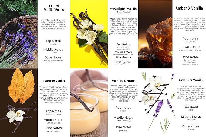 HoogaLife Car Air Freshener Diffuser 6 Pack Hanging Air Freshener - Vanilla Scents Car Freshener for Women, 45+ Days Long Lasting Fragrance Made in USA