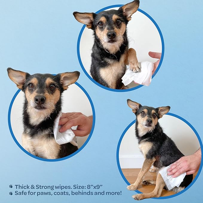 Best Pet Supplies Pet Wipes for Dogs - Dog Wipes Cleaning Deodorizing, for Coats, Ears, Paws - Calming Lavender, Aloe Vera, 100 Count