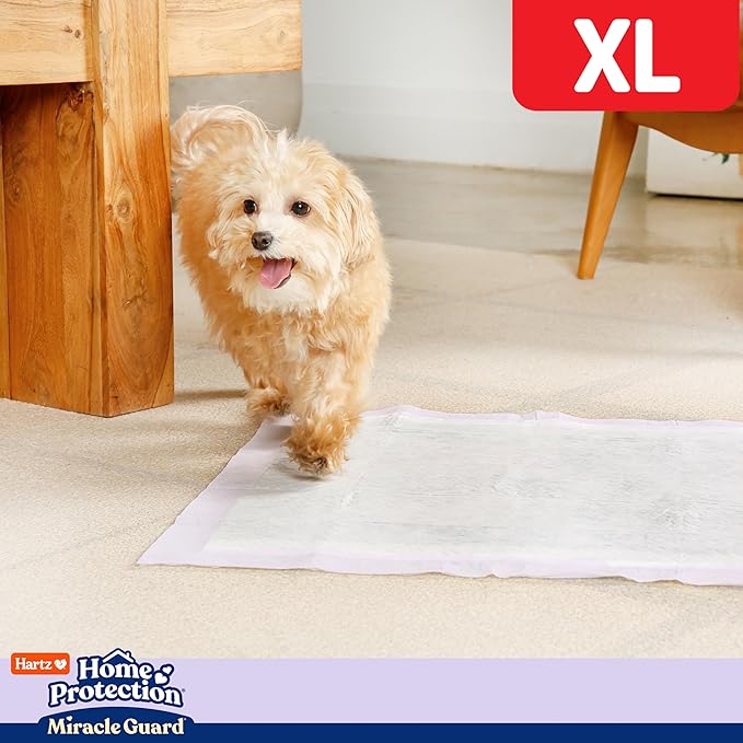 Hartz Home Protection Miracle Guard Lavender Scented Dog Pads, XL Size 30 Count, 24 Hour Use, Won't Leak and Odor Eliminating